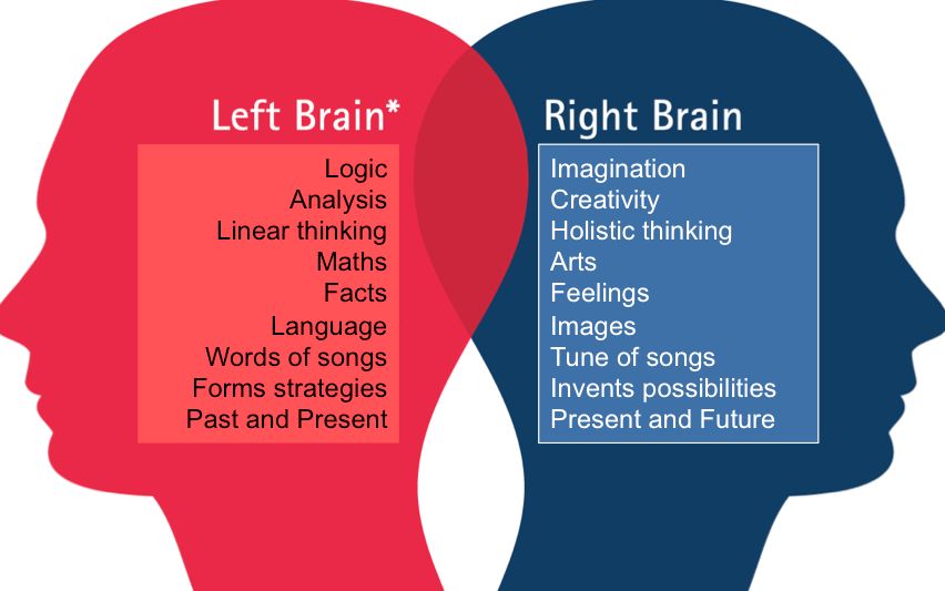 left right brain